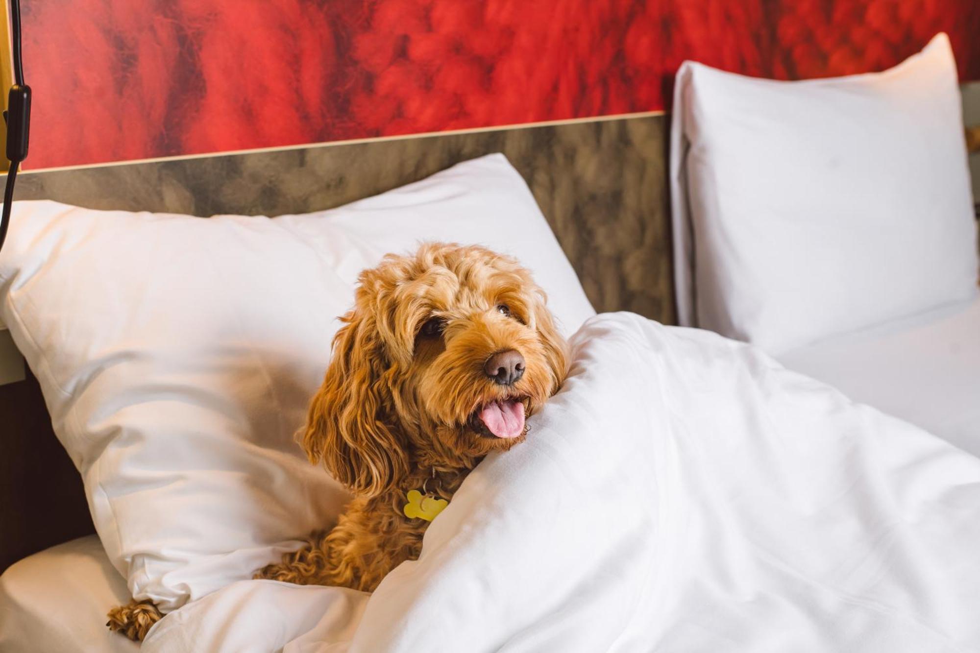 Ibis Excel-docklands Londen